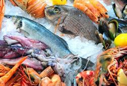 A US task force is developing a seafood trade strategy Photo: NOAA