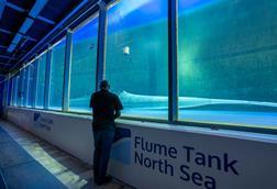 Flume Tank