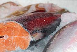 Salmon sales
