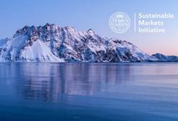 A picture of the Sustainable Markets Initiative