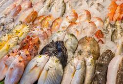 A generic picture of seafood