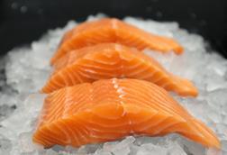 Scottish salmon