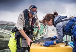 Salmon Scotland tech