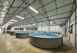 Inside Innovasea's Colorado aquaponics facility