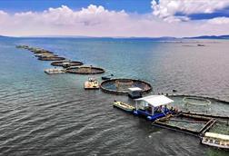 Vietnam aquaculture