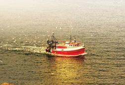 fishing vessel