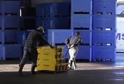 Stacked boxes saying Grimsby Fish Market with two fishermen in the foreground moving smaller yellow crates