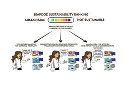Graphic showing how consumers might determine the sustainability of their seafood to promote transparent labelling