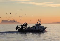 Mediterranean fishing vessel