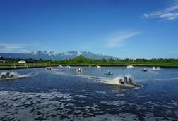 Shrimp farm