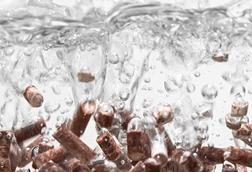 Unibio's Sustainable Protein Uniprotein