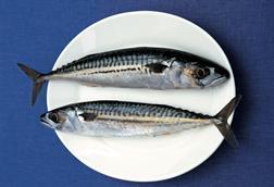 Mackerel on plate