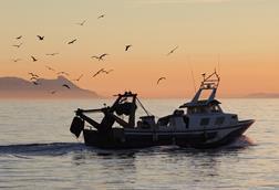 Mediterranean fishing vessel