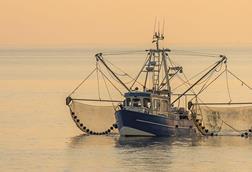 EU trawler