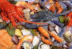 Australian seafood