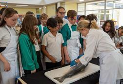 Children in Letchworth being shown how to prepare fish