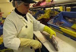 Pandemic hits women harder, says WSI