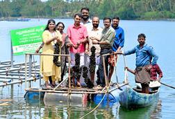 Kodungallur mussel harvest