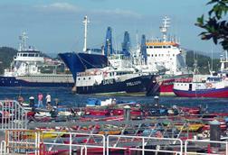 The image shows Spanish fishing vessels in port