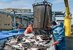 US fish unloading