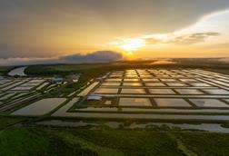 Humpty Doo barramundi farm in Northern Territory Australia