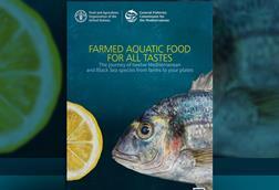 Publication FAO_GFCM