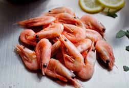 Greenland coldwater prawns