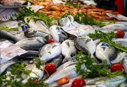 EU Fish Market Report 2025