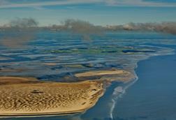 Wadden Sea