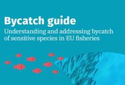 Seas At Risk Bycatch Guide
