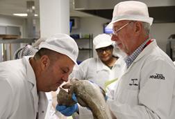 A training participant smells a fish to determine its quality