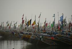 Fishing fleet, Senegal