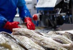 Processing cod