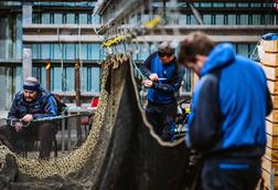 Scottish Sea Farms Net store team, Scalloway