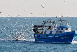 Mediterranean fishing