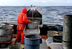 Alaska fisheries