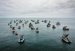 Flotilla of small fishing boats