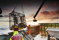 Alaska Bering Sea Crabbers
