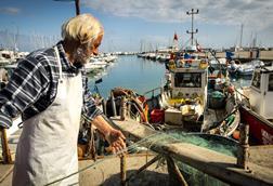 Mediterranean fisheries