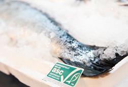 ASC has worked hard to improve its farmed salmon standard