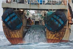 The image shows a fishing trawler supplied by BLOOM