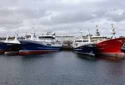 Scottish pelagic vessels