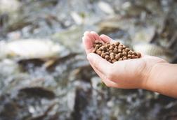 Aquafeeds