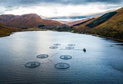 Finfish Farm in Scottish Highlands. image shows 8 pens in a loch with mountains surrounding
