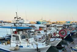 Small fishing boats lined up at a pontoon