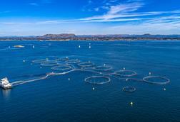 Offshore Fish Farm