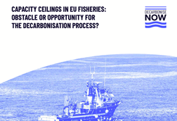 Decarbonise Now report cover