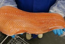 salmon fillet after 3 days in DC
