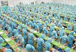 Seafood processing in Vietnam