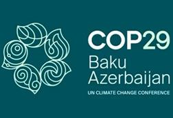 COP29